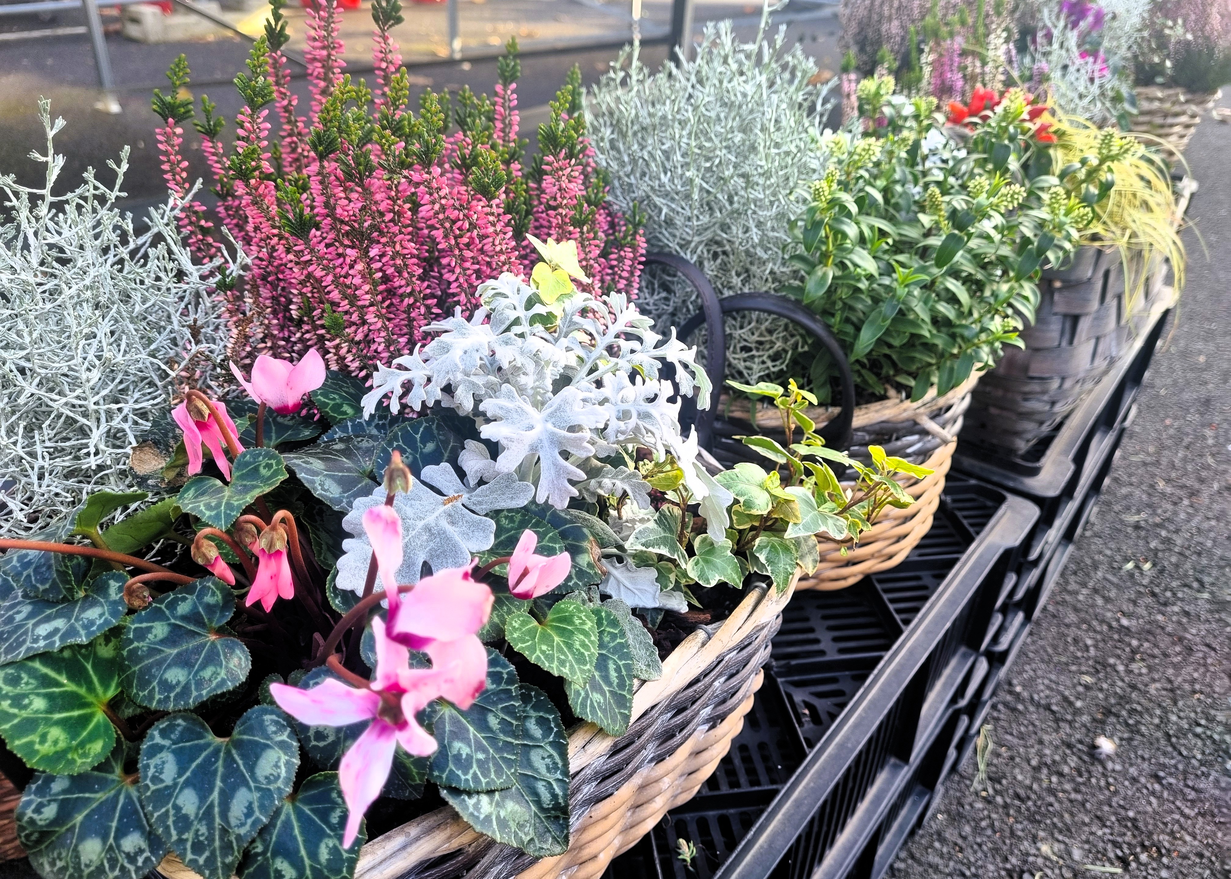 Monheimer Blumenmarkt